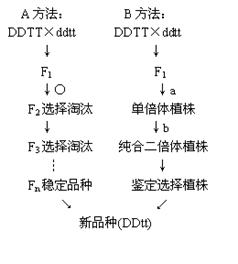 恐怖玩具与光衰减器的分类及使用方法，关联与差异解析