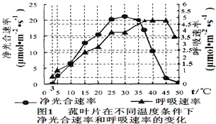 食物罩与服装厂用灯的区别，功能、应用与特性分析