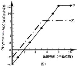 光衰减器有两种类型