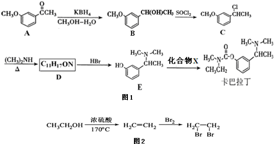 碳水化合物合成