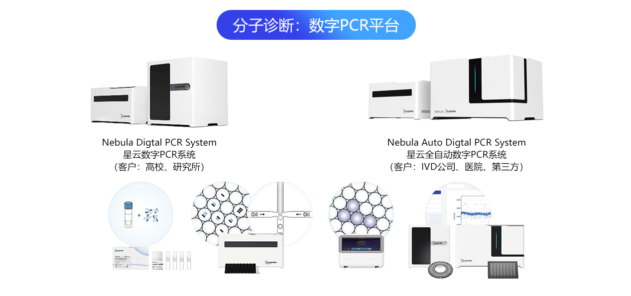 螺杆的应用及其重要性，从基础到高级领域的广泛应用