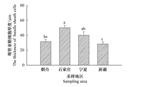 砌块与天然胶粘剂的种类及其特性分析,专业解析评估_suite36.135