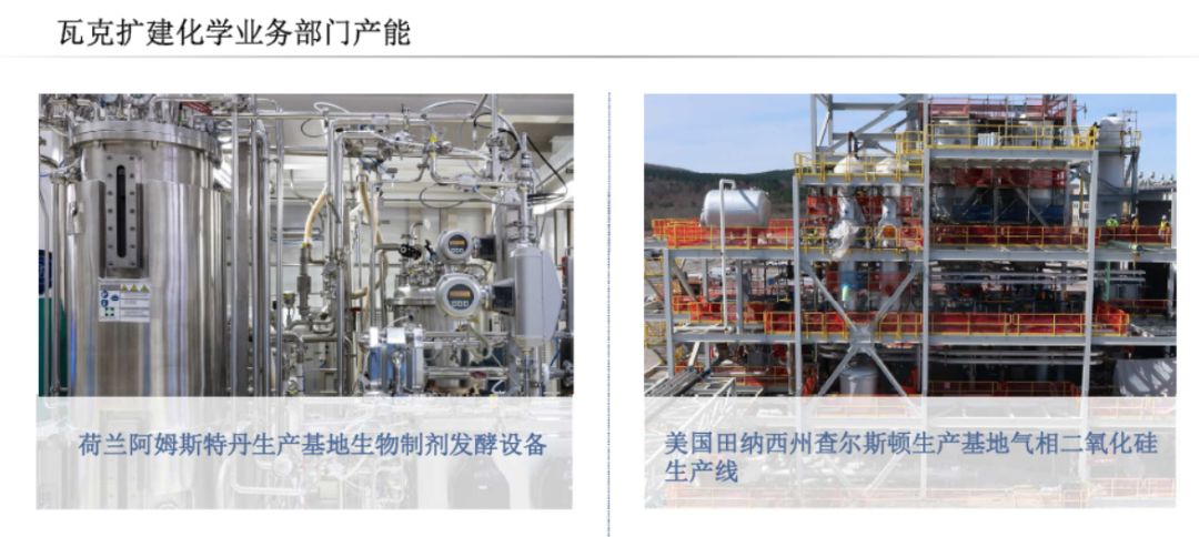 无纺布烫压机，技术解析与应用探讨,实地执行数据分析_粉丝款81.30.73