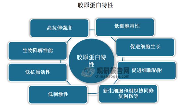 车类与工业饲料蛋白与人工智能就业前景如何